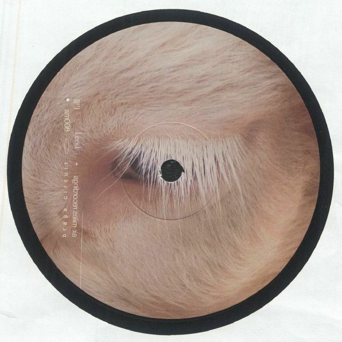 Braga Circuit - Fall EP (feat Leod remix)