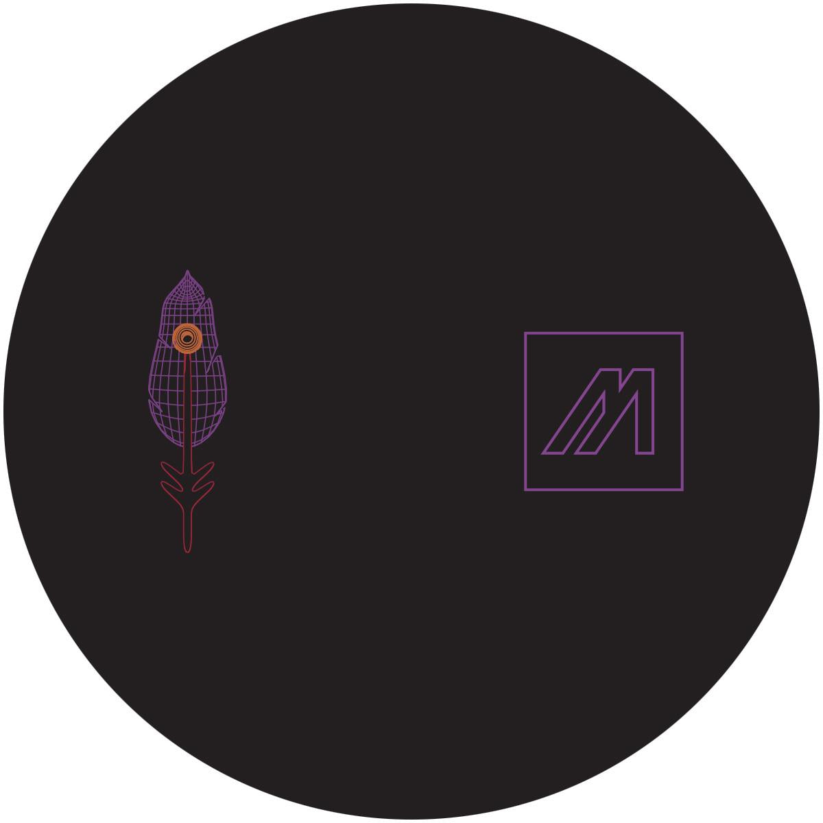 Helga Neuer & Zeta Reticula - Firebird